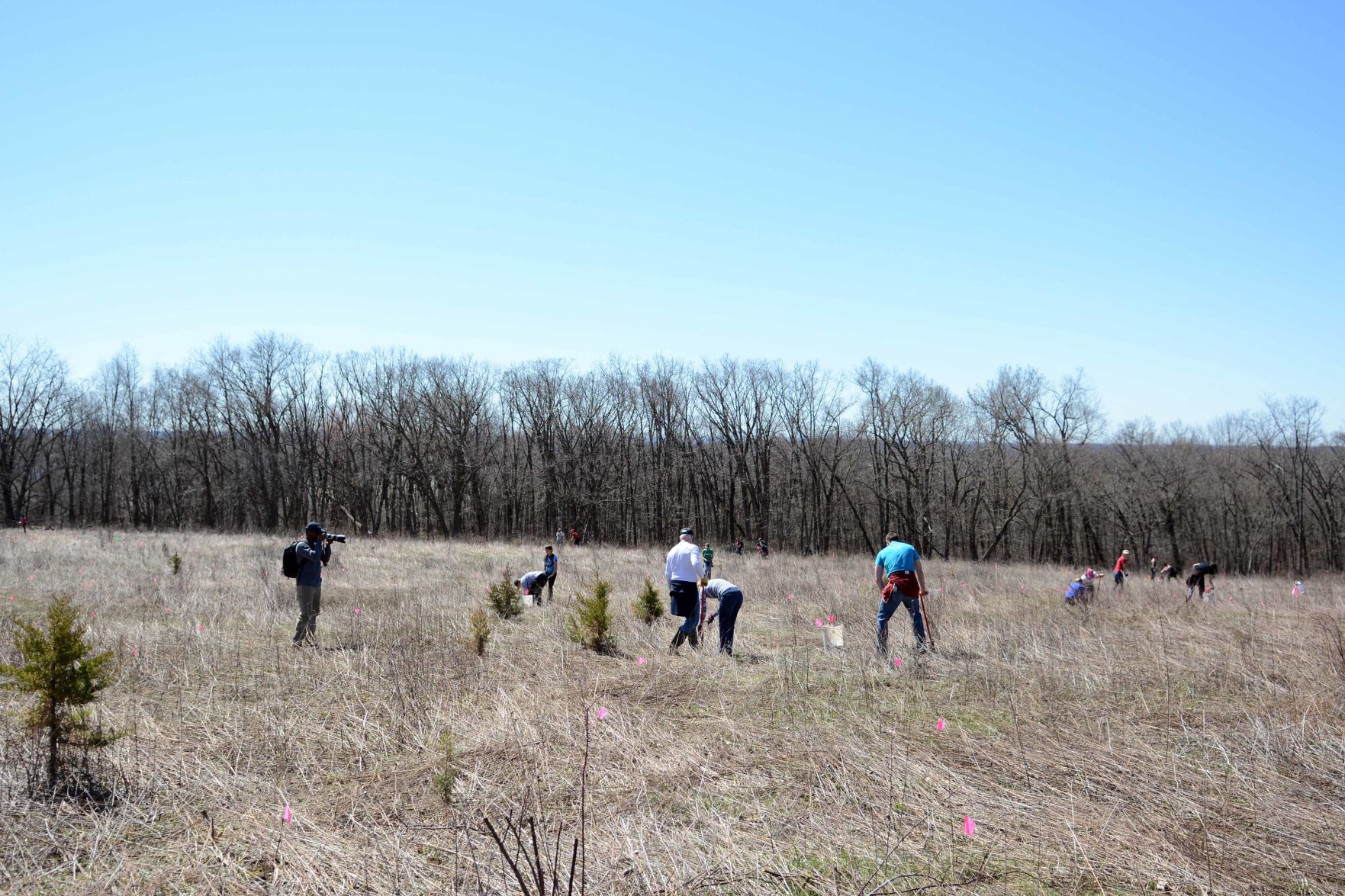 Earth Day tree planting in Baraboo Hills, April 20